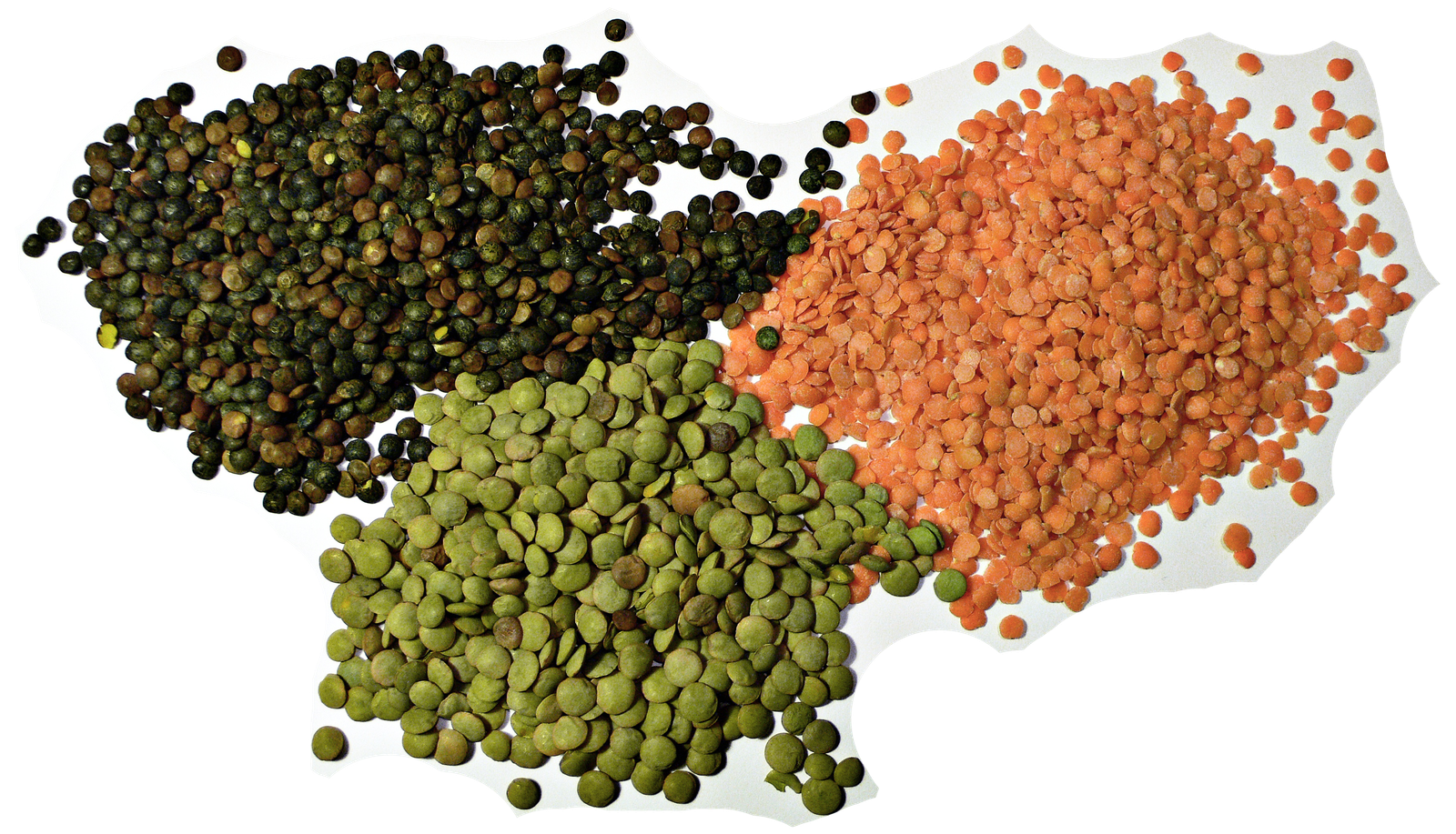 Lentils